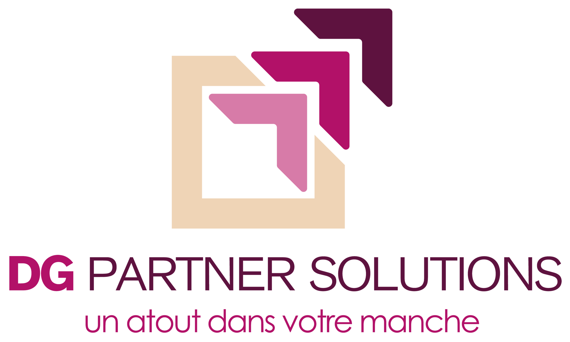 LOGO avec baseline 2000px Logo officiel DG Partner Solutions : un atout dans votre manche